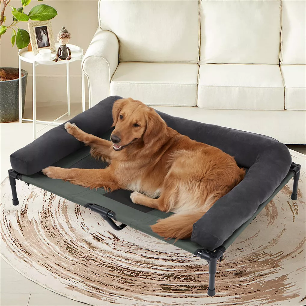 BINGOPAW เตียงสุนัขแบบยกสูง โค - Outdoor Camping Dog Bed บทวิจารณ์และราคา