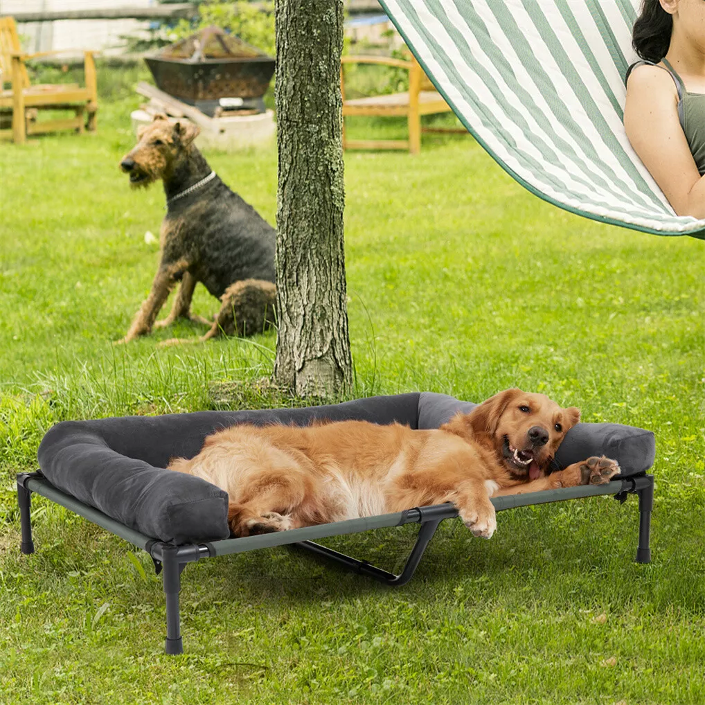 BINGOPAW เตียงสุนัขแบบยกสูง โค - Outdoor Camping Dog Bed บทวิจารณ์และราคา