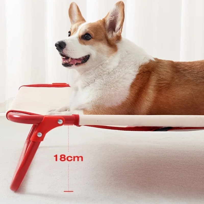 เตียงสุนัขพับได้สําหรับสุนัขขน - Outdoor Camping Dog Bed บทวิจารณ์และราคา